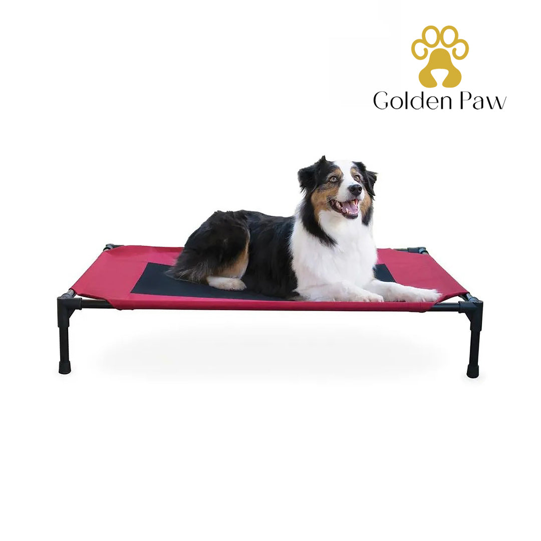 Golden Paw - Dog Bed, Large, Red